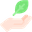 Sprout Icon